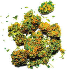 Marijuana Lawyers Florence NJ